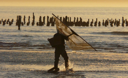 Pêche, écosystème, changement climatique... quels enjeux pour l'océan du 21ème siècle ?