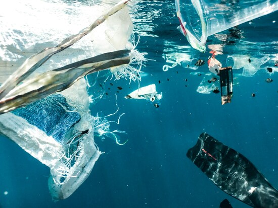 Plastique, le grand emballement